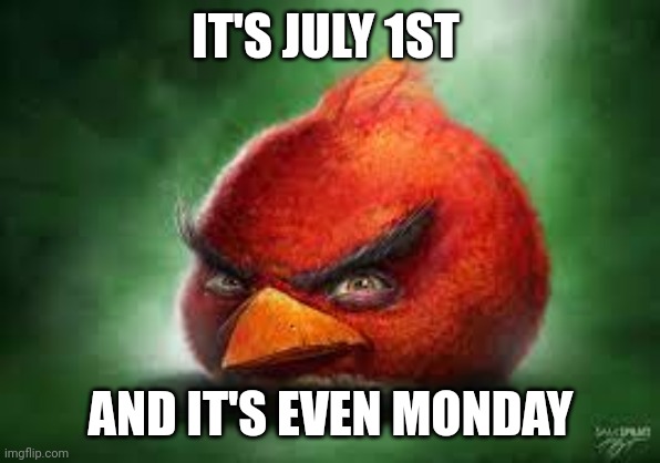 Realistic Red Angry Birds | IT'S JULY 1ST; AND IT'S EVEN MONDAY | image tagged in realistic red angry birds | made w/ Imgflip meme maker