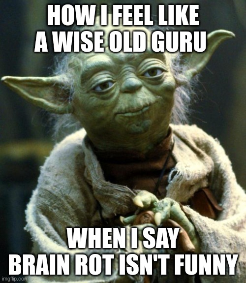 Star Wars Yoda | HOW I FEEL LIKE A WISE OLD GURU; WHEN I SAY BRAIN ROT ISN'T FUNNY | image tagged in memes,star wars yoda | made w/ Imgflip meme maker