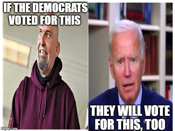 Morons in motion | IF THE DEMOCRATS VOTED FOR THIS; THEY WILL VOTE FOR THIS, TOO | image tagged in democrats | made w/ Imgflip meme maker