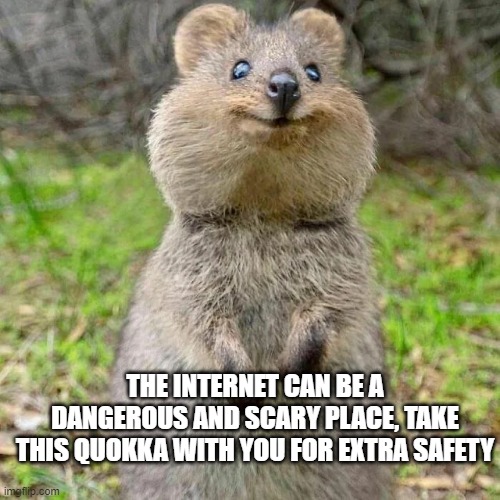 Safe scrolling everyone! | THE INTERNET CAN BE A DANGEROUS AND SCARY PLACE, TAKE THIS QUOKKA WITH YOU FOR EXTRA SAFETY | image tagged in meme,cute animals | made w/ Imgflip meme maker