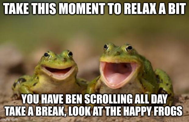 two happy frogs  | TAKE THIS MOMENT TO RELAX A BIT; YOU HAVE BEN SCROLLING ALL DAY TAKE A BREAK, LOOK AT THE HAPPY FROGS | image tagged in two happy frogs | made w/ Imgflip meme maker