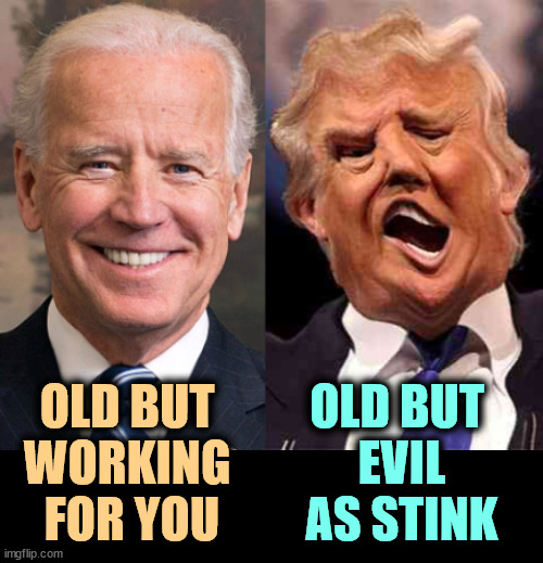 Biden old is a better American than Trump at any age. | OLD BUT 
WORKING 
FOR YOU; OLD BUT 
EVIL AS STINK | image tagged in biden solid stable trump acid drugs,biden,good,trump,evil,selfish | made w/ Imgflip meme maker