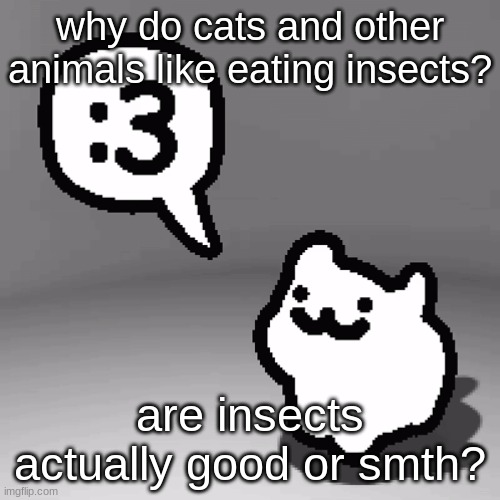 :3 cat | why do cats and other animals like eating insects? are insects actually good or smth? | image tagged in 3 | made w/ Imgflip meme maker