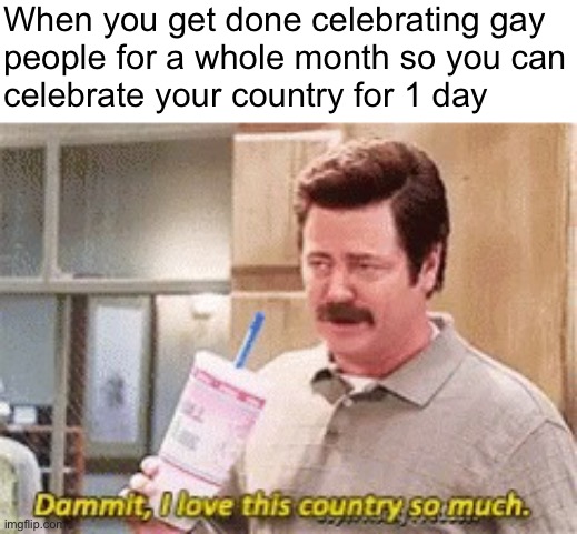 Woke up and decided to be a meany face | When you get done celebrating gay
people for a whole month so you can
celebrate your country for 1 day | image tagged in dammit i love this country so much | made w/ Imgflip meme maker