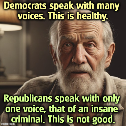 Democrats speak with many 
voices. This is healthy. Republicans speak with only 
one voice, that of an insane 
criminal. This is not good. | image tagged in democrats,many,republicans,one,insane,criminal | made w/ Imgflip meme maker