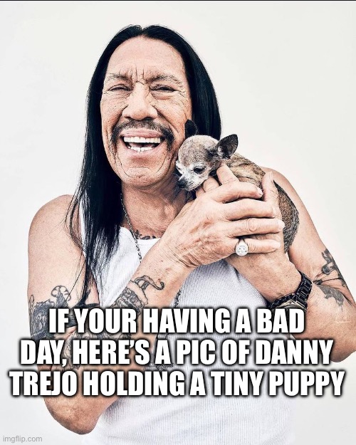 Have a Better Day Now | IF YOUR HAVING A BAD DAY, HERE’S A PIC OF DANNY TREJO HOLDING A TINY PUPPY | image tagged in danny trejo with puppy,puppy,danny,trejo | made w/ Imgflip meme maker