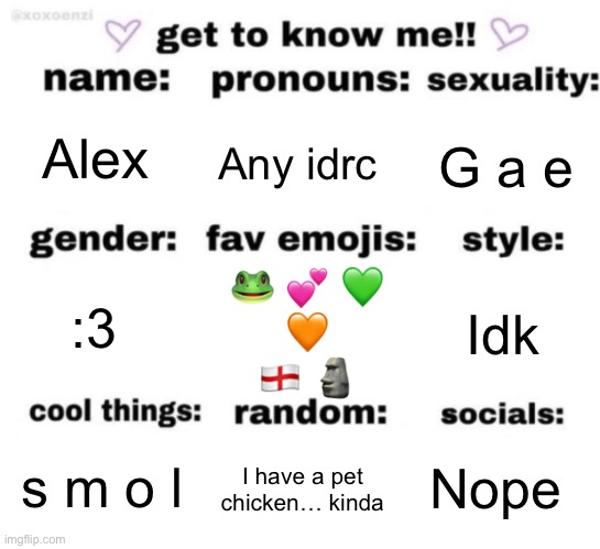 get to know me but better | Alex; Any idrc; G a e; 🐸 💕 💚 🧡 🏴󠁧󠁢󠁥󠁮󠁧󠁿 🗿; Idk; :3; Nope; I have a pet chicken… kinda; s m o l | image tagged in get to know me but better | made w/ Imgflip meme maker