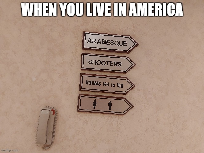 america | WHEN YOU LIVE IN AMERICA | image tagged in america | made w/ Imgflip meme maker