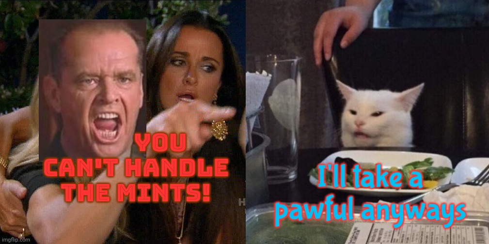 Woman yelling at cat | YOU
CAN'T HANDLE
THE MINTS! I'll take a pawful anyways | image tagged in woman yelling at cat | made w/ Imgflip meme maker