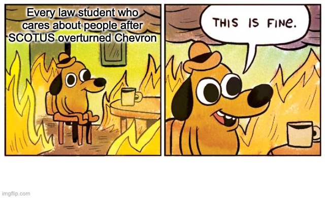 Chevron | Every law student who cares about people after SCOTUS overturned Chevron | image tagged in memes,this is fine | made w/ Imgflip meme maker