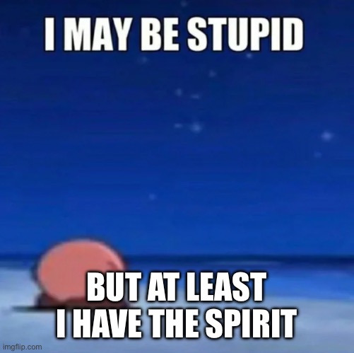 i may be stupid | BUT AT LEAST I HAVE THE SPIRIT | image tagged in i may be stupid | made w/ Imgflip meme maker