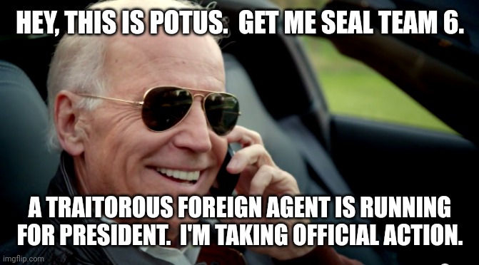 The Presidency is officially above the law. | HEY, THIS IS POTUS.  GET ME SEAL TEAM 6. A TRAITOROUS FOREIGN AGENT IS RUNNING FOR PRESIDENT.  I'M TAKING OFFICIAL ACTION. | image tagged in traitor trump,dark brandon,democratically elected dictators,illegitimate scotus,revolution now | made w/ Imgflip meme maker