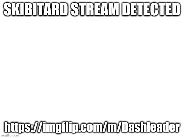 SKIBITARD STREAM DETECTED; https://imgflip.com/m/Dashleader | image tagged in skibitard,stream | made w/ Imgflip meme maker