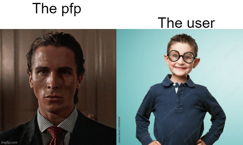 The pfp; The user | made w/ Imgflip meme maker