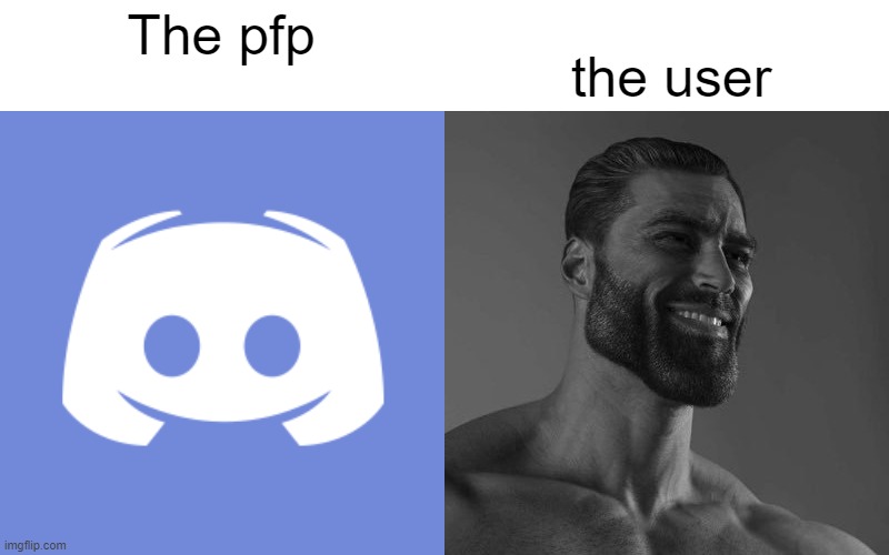 The pfp; the user | made w/ Imgflip meme maker