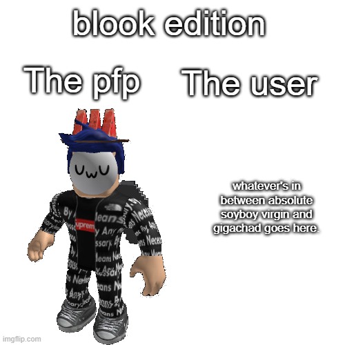 blook edition; The pfp; The user; whatever's in between absolute soyboy virgin and gigachad goes here. | made w/ Imgflip meme maker