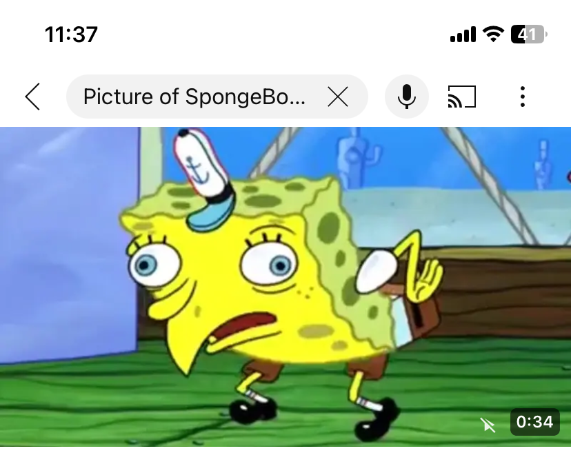 High Quality BFB intro butt four is SpongeBob acting like a chicken Blank Meme Template