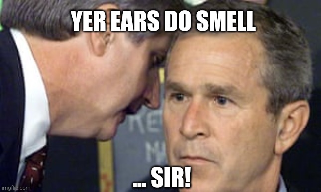 George Bush 9/11 | YER EARS DO SMELL; ... SIR! | image tagged in george bush 9/11 | made w/ Imgflip meme maker