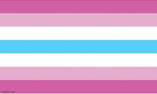 Femboy pride flag | image tagged in femboy pride flag | made w/ Imgflip meme maker