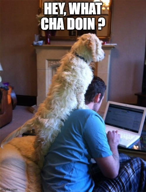 memes by Brad - My dog wants to know what I'm doing on the computer | HEY, WHAT CHA DOIN ? | image tagged in funny memes,funny,gaming,dog,humor,computer | made w/ Imgflip meme maker