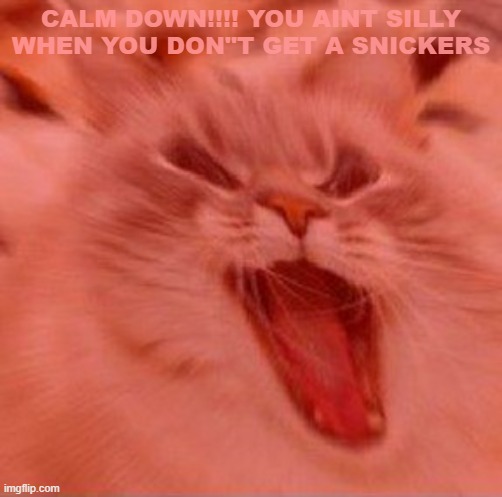 When the trees start speaking | CALM DOWN!!!! YOU AINT SILLY WHEN YOU DON"T GET A SNICKERS | image tagged in when the trees start speaking | made w/ Imgflip meme maker