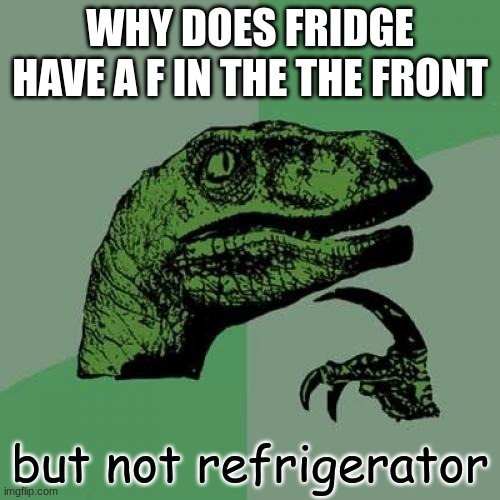 Philosoraptor | WHY DOES FRIDGE HAVE A F IN THE THE FRONT; but not refrigerator | image tagged in memes,philosoraptor | made w/ Imgflip meme maker