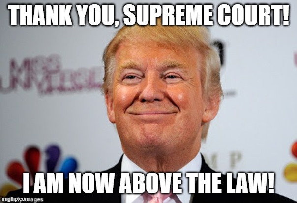 Donald trump approves | THANK YOU, SUPREME COURT! I AM NOW ABOVE THE LAW! | image tagged in donald trump approves | made w/ Imgflip meme maker