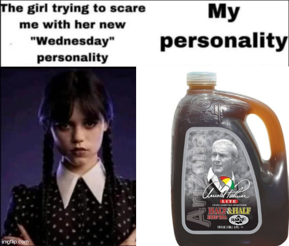The girl trying to scare me with her new Wednesday personality | image tagged in the girl trying to scare me with her new wednesday personality | made w/ Imgflip meme maker