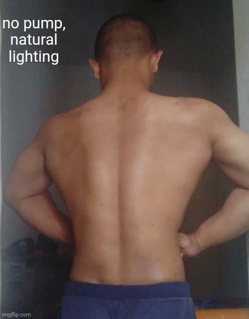 current weight 65.7 kg. goal weight 73 kg or more | no pump, natural lighting | made w/ Imgflip meme maker