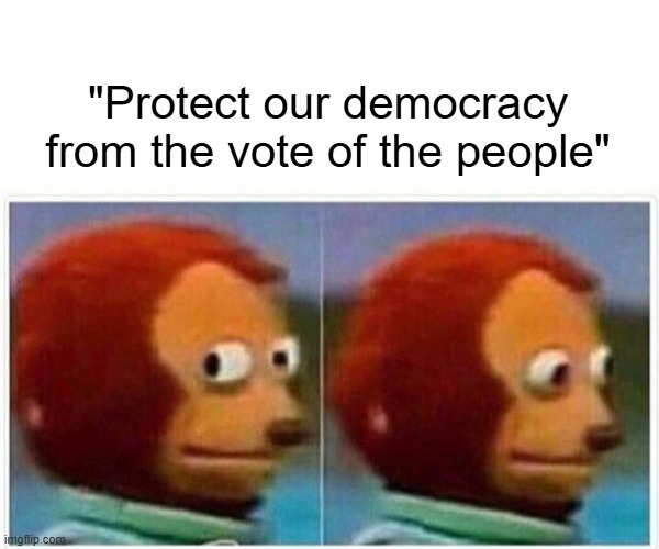 Why are western democracies scared to take care of their people? | "Protect our democracy from the vote of the people" | image tagged in memes,monkey puppet | made w/ Imgflip meme maker