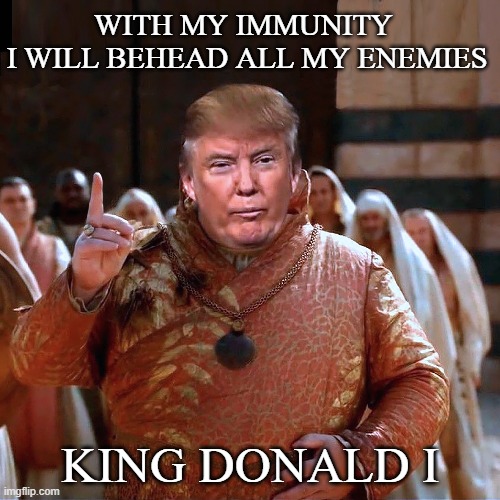 Game of Thrones sequel coming in 2025! | WITH MY IMMUNITY 
I WILL BEHEAD ALL MY ENEMIES; KING DONALD I | image tagged in donald trump,king,game of thrones,immunity | made w/ Imgflip meme maker