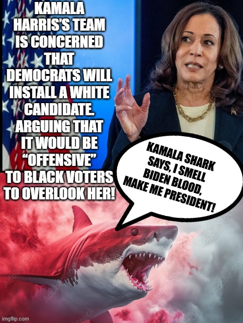 If Joe is to go, I need to be president!! If not, the Democrats are RACISTS!! | KAMALA HARRIS’S TEAM IS CONCERNED THAT DEMOCRATS WILL INSTALL A WHITE CANDIDATE. ARGUING THAT IT WOULD BE “OFFENSIVE” TO BLACK VOTERS TO OVERLOOK HER! KAMALA SHARK SAYS, I SMELL BIDEN BLOOD, MAKE ME PRESIDENT! | image tagged in racists,kamala harris,that's racist,white privilege | made w/ Imgflip meme maker