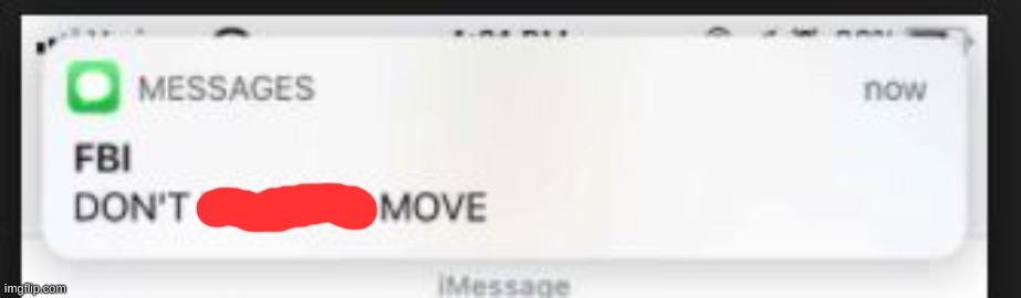 FBI Don't move | image tagged in fbi don't move | made w/ Imgflip meme maker