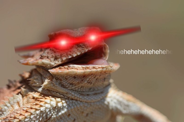 laughing lizard | image tagged in laughing lizard | made w/ Imgflip meme maker