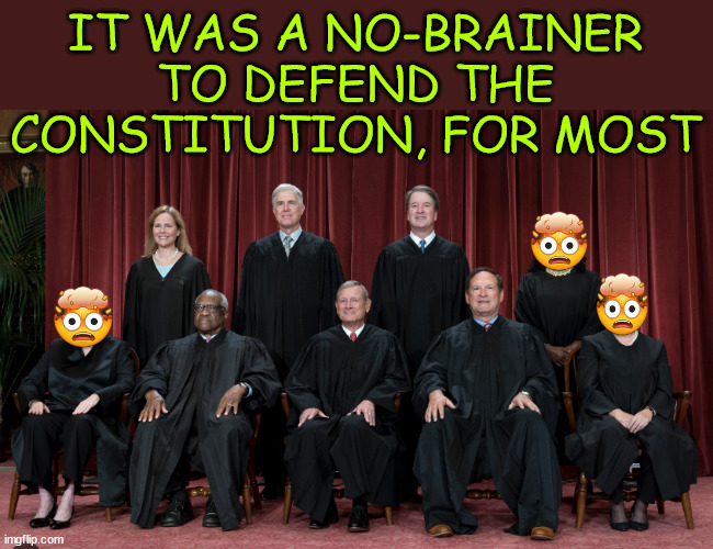 Then again, the other 3 couldn't tell you what a woman is... | IT WAS A NO-BRAINER TO DEFEND THE CONSTITUTION, FOR MOST | image tagged in scotus,defends the constitution,6 to 3,bi smith | made w/ Imgflip meme maker