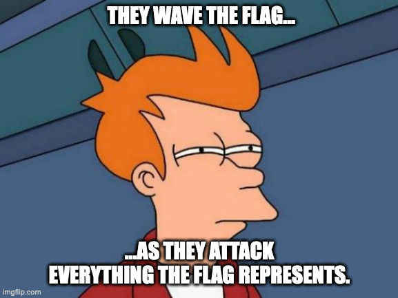 unethical republicans | THEY WAVE THE FLAG... ...AS THEY ATTACK EVERYTHING THE FLAG REPRESENTS. | image tagged in memes,futurama fry | made w/ Imgflip meme maker