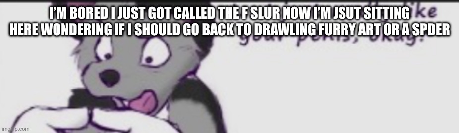 Idk maybe I should use this like a announcement temp… | I’M BORED I JUST GOT CALLED THE F SLUR NOW I’M JSUT SITTING HERE WONDERING IF I SHOULD GO BACK TO DRAWLING FURRY ART OR A SPDER | image tagged in i just really like your penis | made w/ Imgflip meme maker