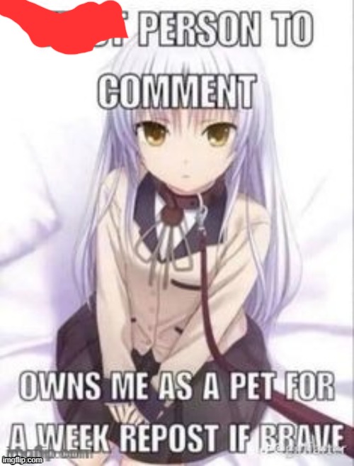 first person to comment owns as a pet for a week | image tagged in first person to comment owns as a pet for a week | made w/ Imgflip meme maker