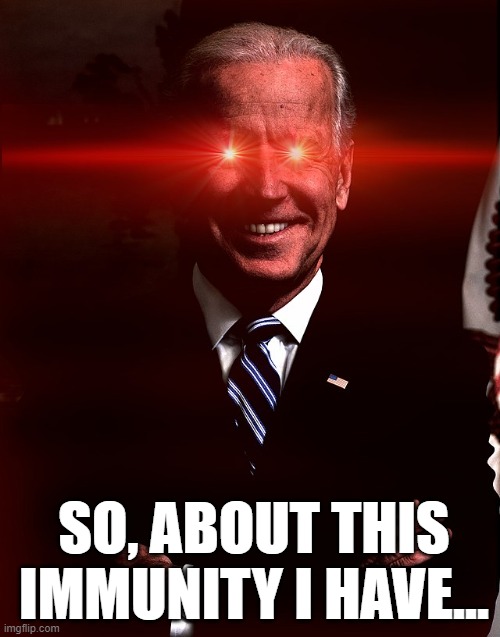 Biden Immunity | SO, ABOUT THIS IMMUNITY I HAVE... | image tagged in dark brandon | made w/ Imgflip meme maker