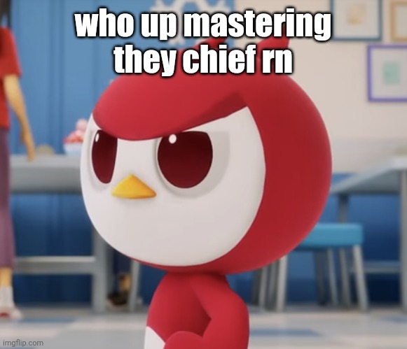 flugburgr | who up mastering they chief rn | image tagged in flugburgr | made w/ Imgflip meme maker