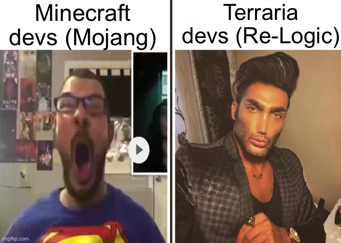 . | Minecraft devs (Mojang); Terraria devs (Re-Logic) | image tagged in average fan vs average enjoyer | made w/ Imgflip meme maker