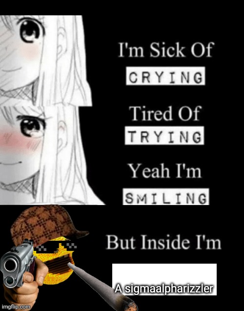 This is sarcastic | A sigmaalpharizzler | image tagged in i'm sick of crying | made w/ Imgflip meme maker