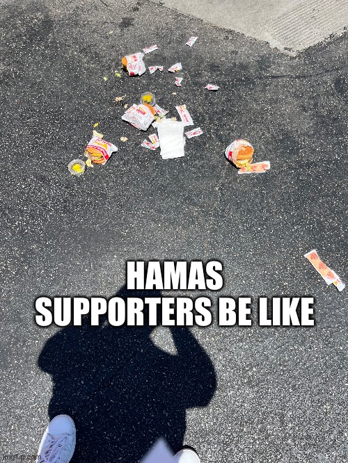 hamas supporters be like | HAMAS SUPPORTERS BE LIKE | image tagged in humanitarian | made w/ Imgflip meme maker