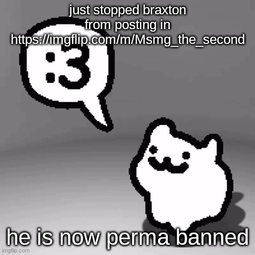 he really needs to get off this site | just stopped braxton from posting in https://imgflip.com/m/Msmg_the_second; he is now perma banned | image tagged in 3 | made w/ Imgflip meme maker