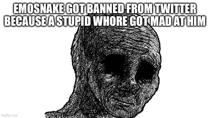 sad wojak | EMOSNAKE GOT BANNED FROM TWITTER BECAUSE A STUPID WHORE GOT MAD AT HIM | image tagged in sad wojak | made w/ Imgflip meme maker