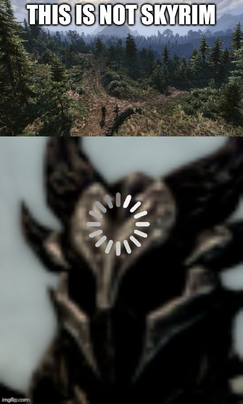 I took one look at Ard Skellig and said "This is literally Skyrim" (Witcher lore) | THIS IS NOT SKYRIM | image tagged in dragonborn processing | made w/ Imgflip meme maker