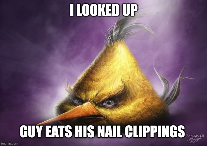 Realistic yellow angry bird | I LOOKED UP; GUY EATS HIS NAIL CLIPPINGS | image tagged in realistic yellow angry bird | made w/ Imgflip meme maker