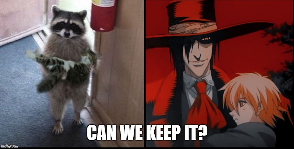 Can We Keep It? | CAN WE KEEP IT? | image tagged in hellsing | made w/ Imgflip meme maker