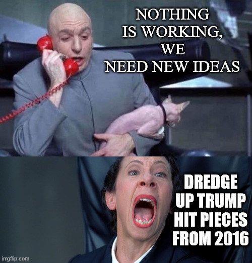 Dr Evil and Frau | NOTHING IS WORKING, WE NEED NEW IDEAS DREDGE UP TRUMP HIT PIECES FROM 2016 | image tagged in dr evil and frau | made w/ Imgflip meme maker