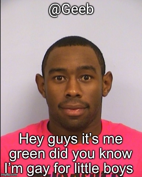 geeb tyler mugshot announcement template | Hey guys it’s me green did you know I’m gay for little boys | image tagged in geeb tyler mugshot announcement template | made w/ Imgflip meme maker